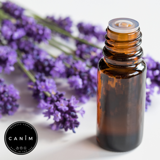 French Lavender (40/42) Essential Oil